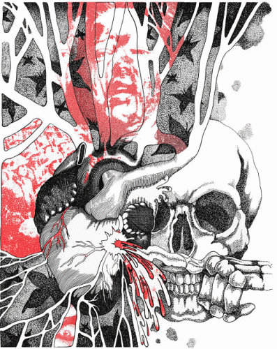 Cloud Rat : Clipped Beaks Cloud Rat : Clipped Beaks